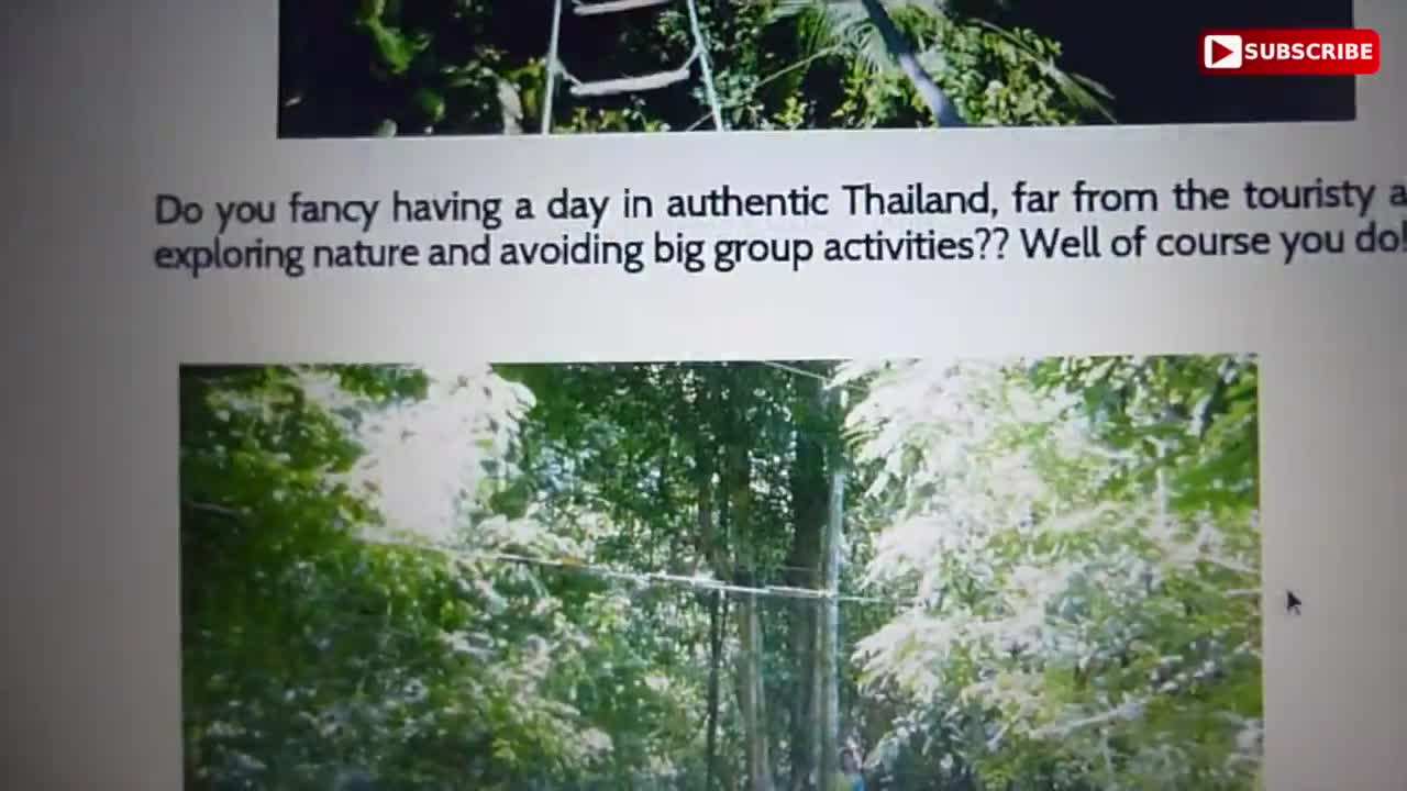 Treetop Adventure Park Blog Post