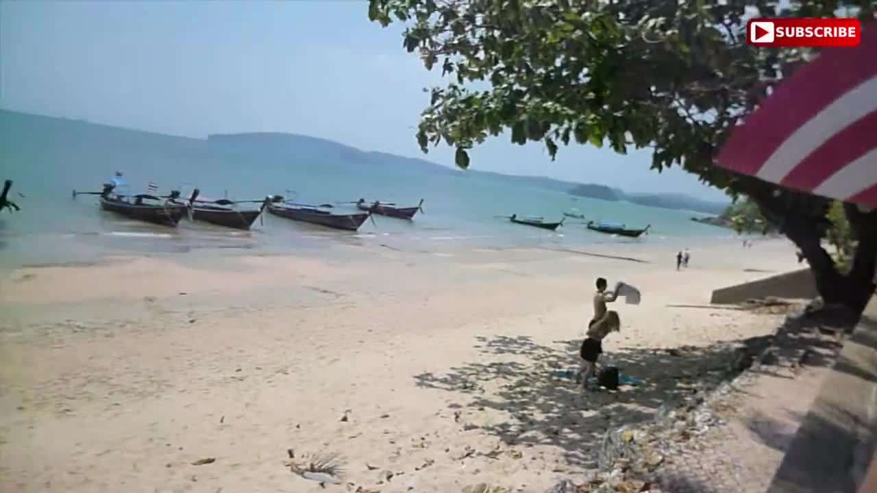 Tranquil Beachside Lunch Setting
