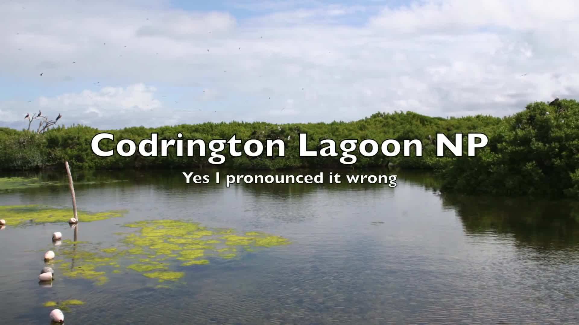 Frigate Bird Sanctuary in Barbuda