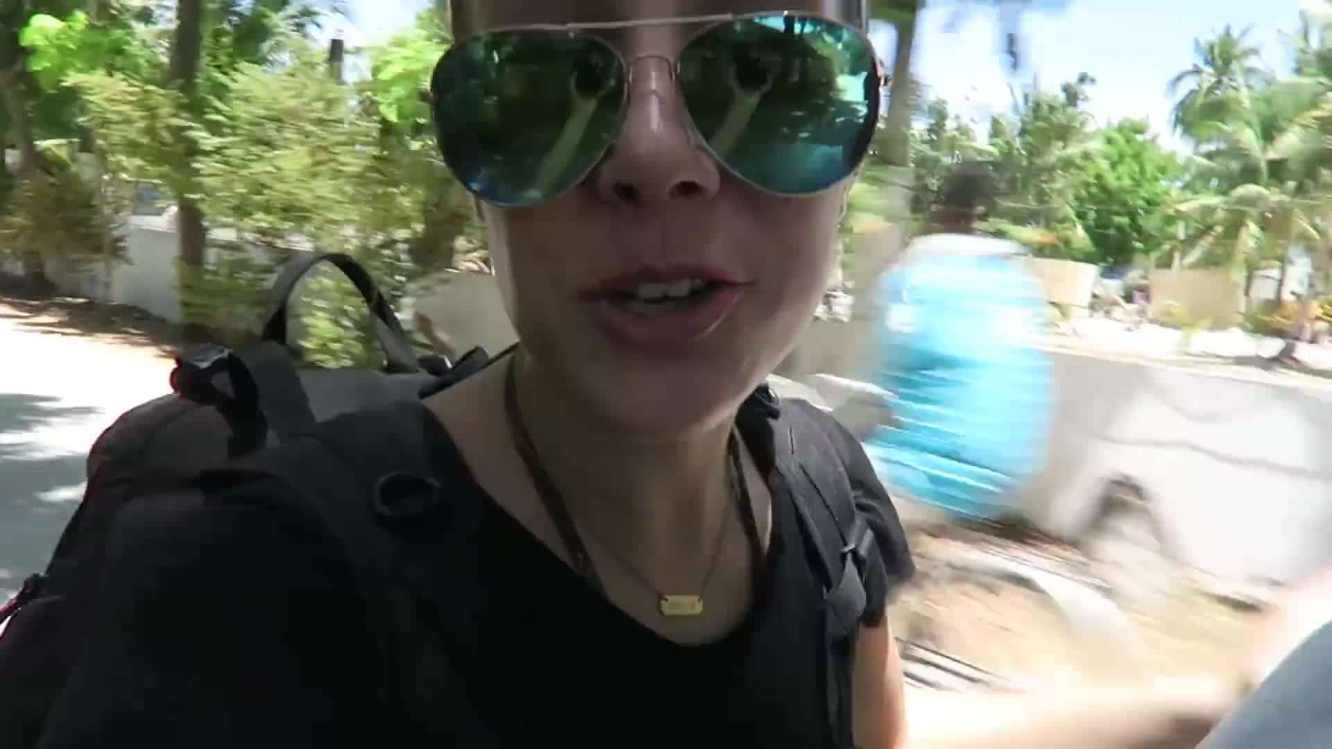 Mangrove Exploration