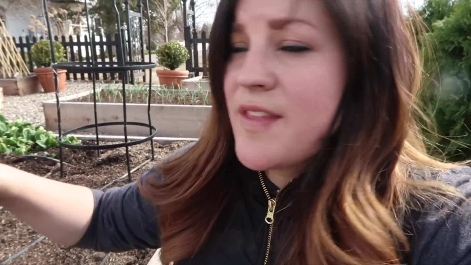 Tilling the Soil for Root Crops