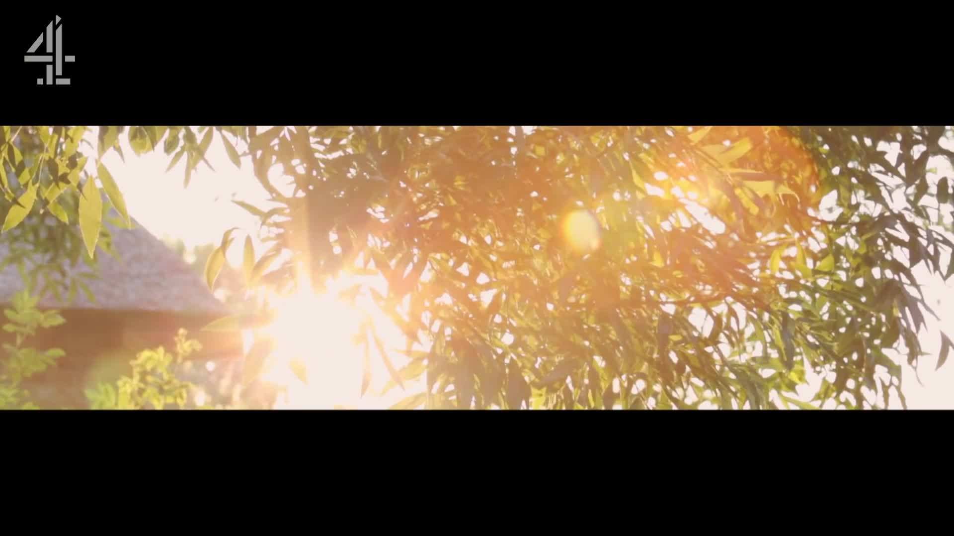 Adding the Parmesan to the Filling