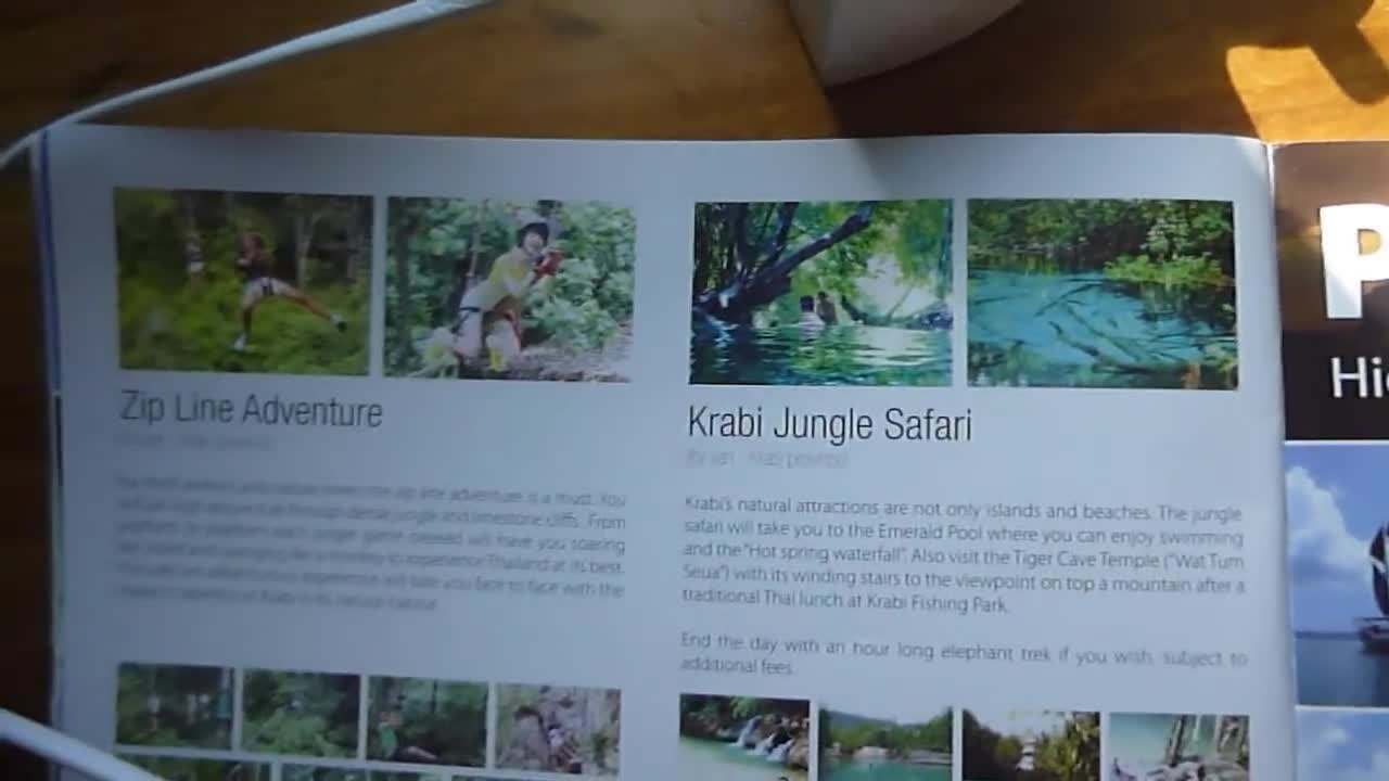 Monkeys in the Jungle