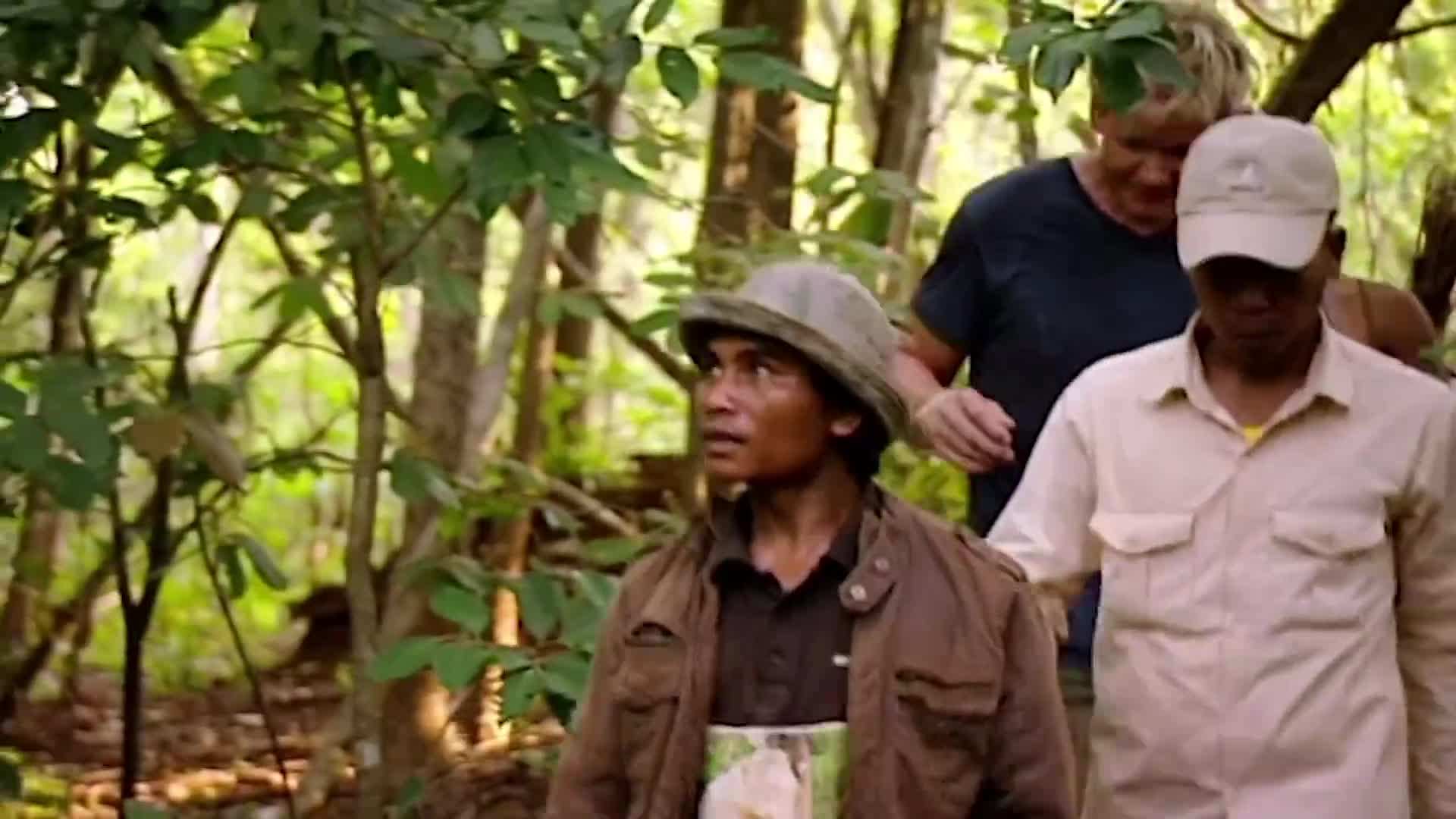 Collecting Honey from the Hive