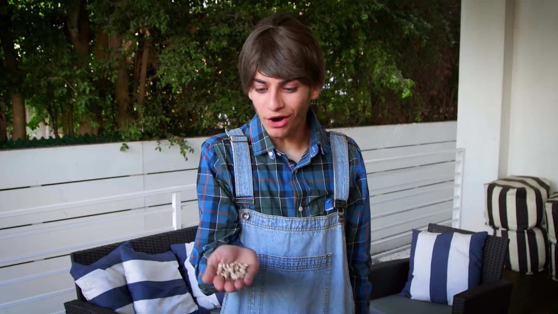 Magic Beans: A Modern Twist