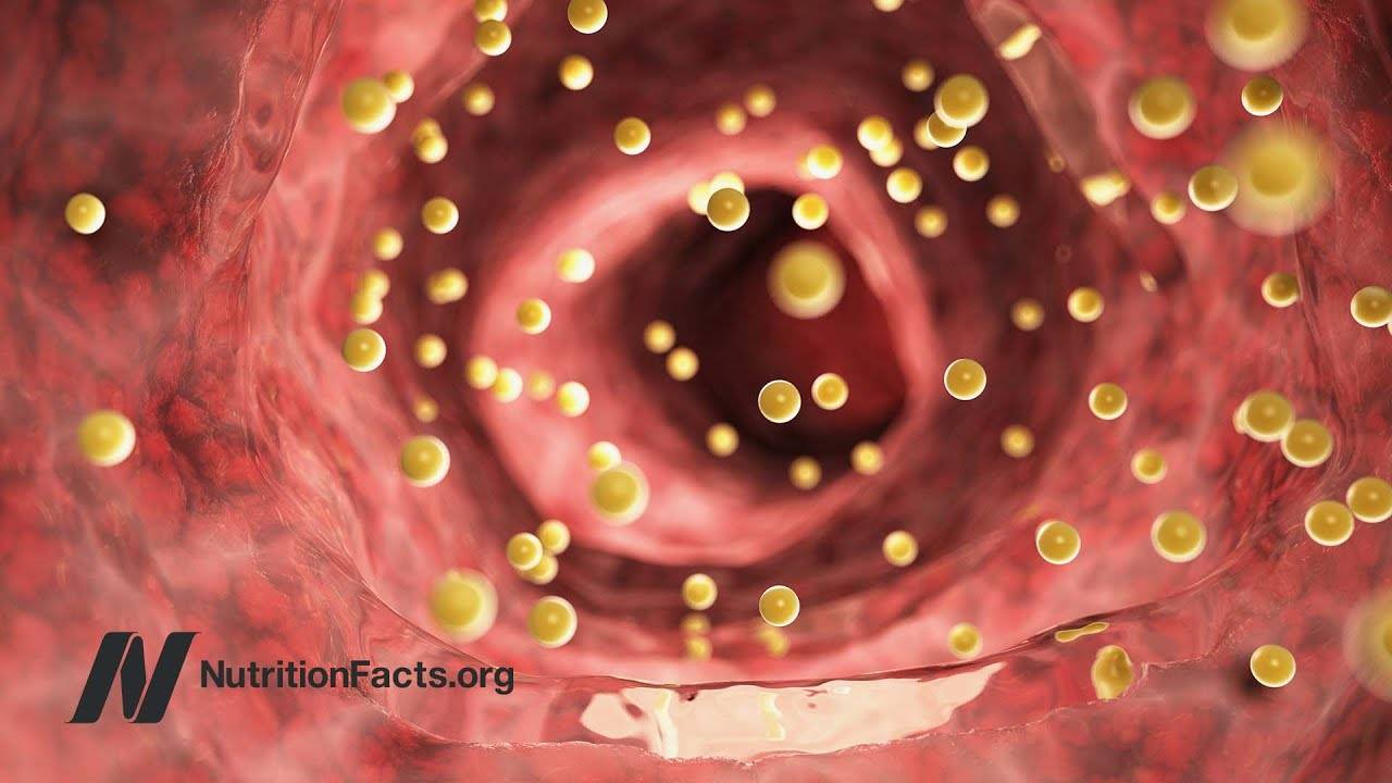 Can Cholesterol Get Too Low? Understanding the Impact on Heart Health