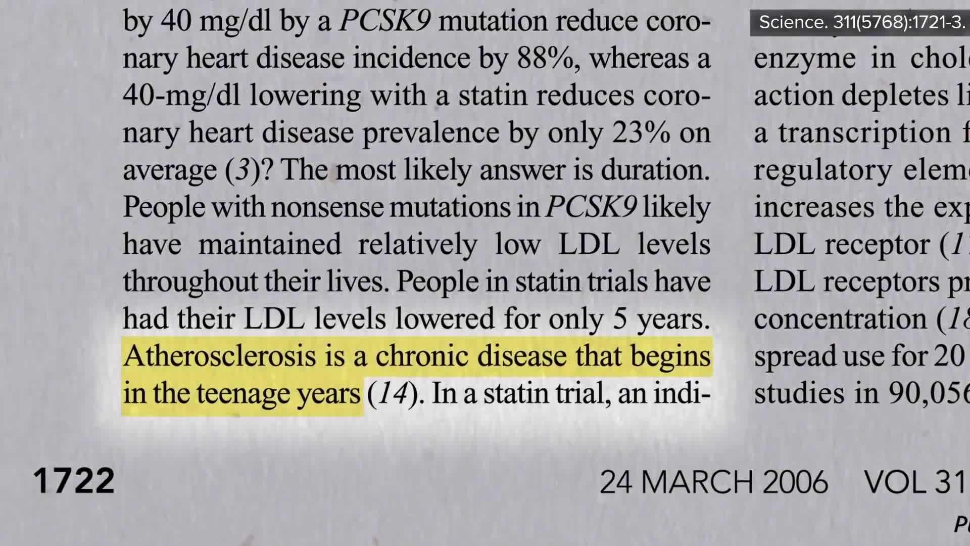 Development of fatty streaks in arteries