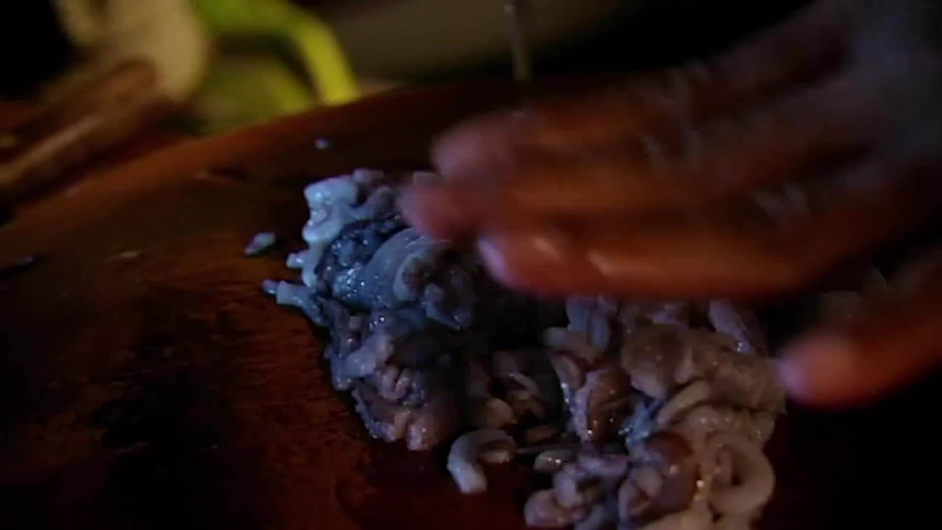 Freshly Caught Squid