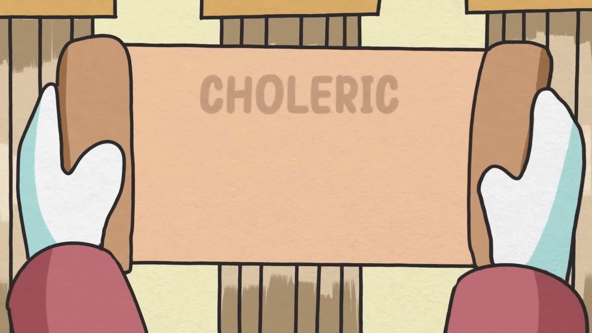Exploring the Characteristics of Choleric Individuals
